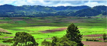 Taller artesanal lenca